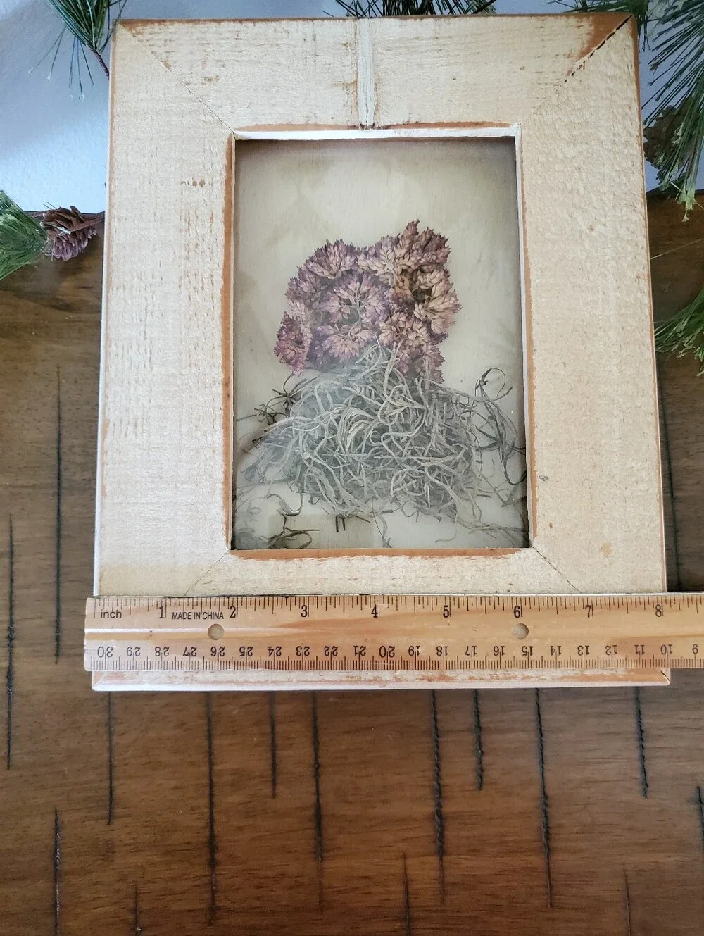 Rustic Framed Dried Pink Flower Shadow Box Botanical Wall Art 8x10